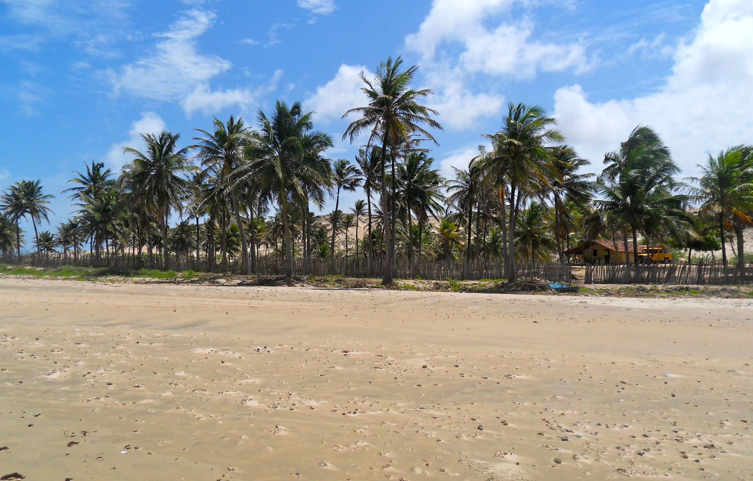 SDC10801.jpg