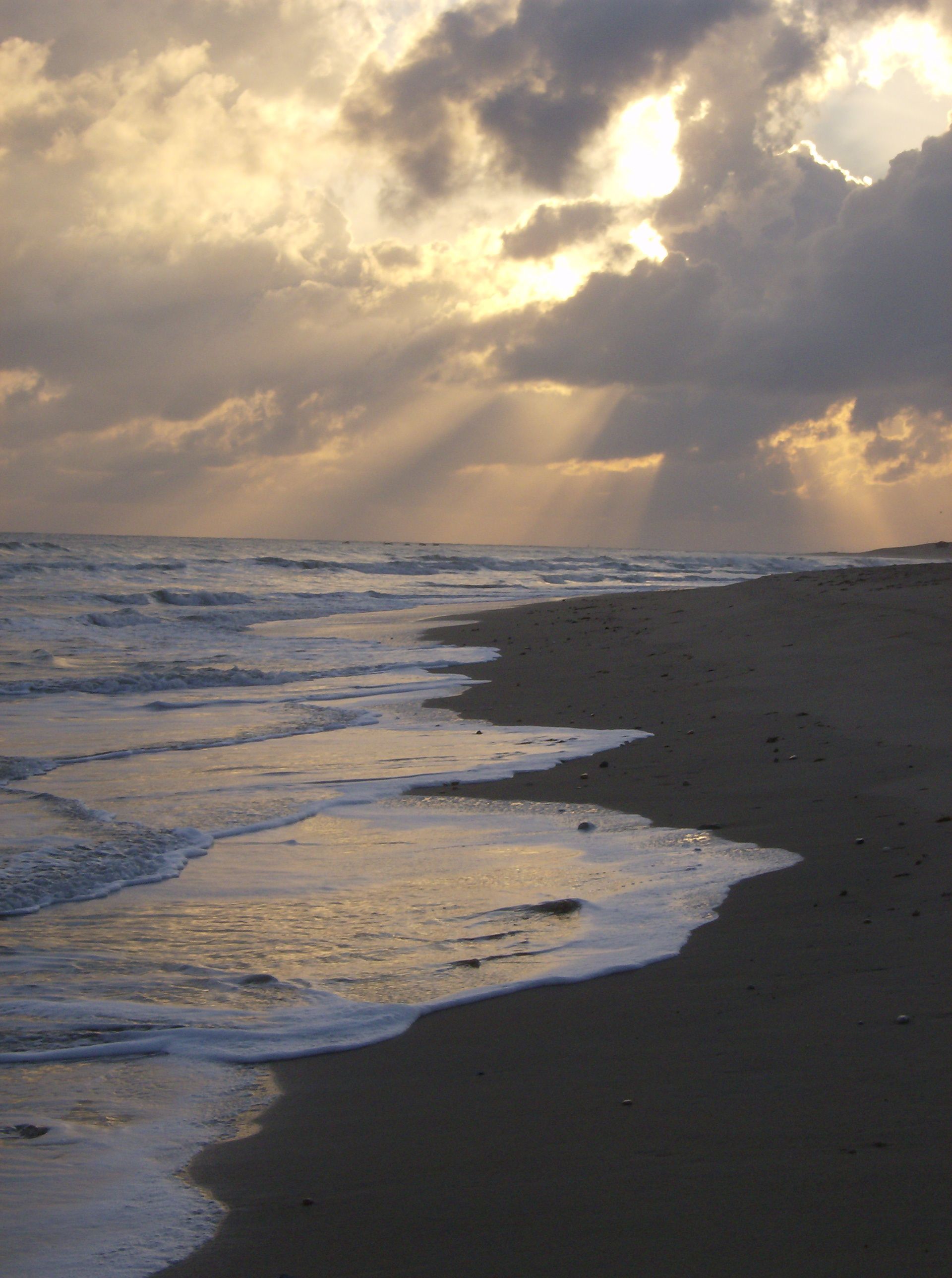 HPIM0910.jpg
