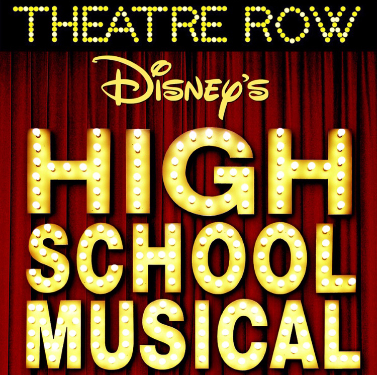 Wrights Iron On Transfer Disney HS Musical Group 
