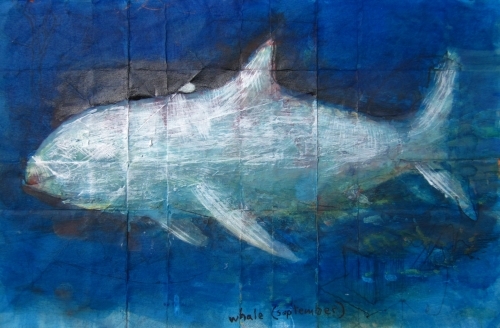  Andrew Abbott, whale