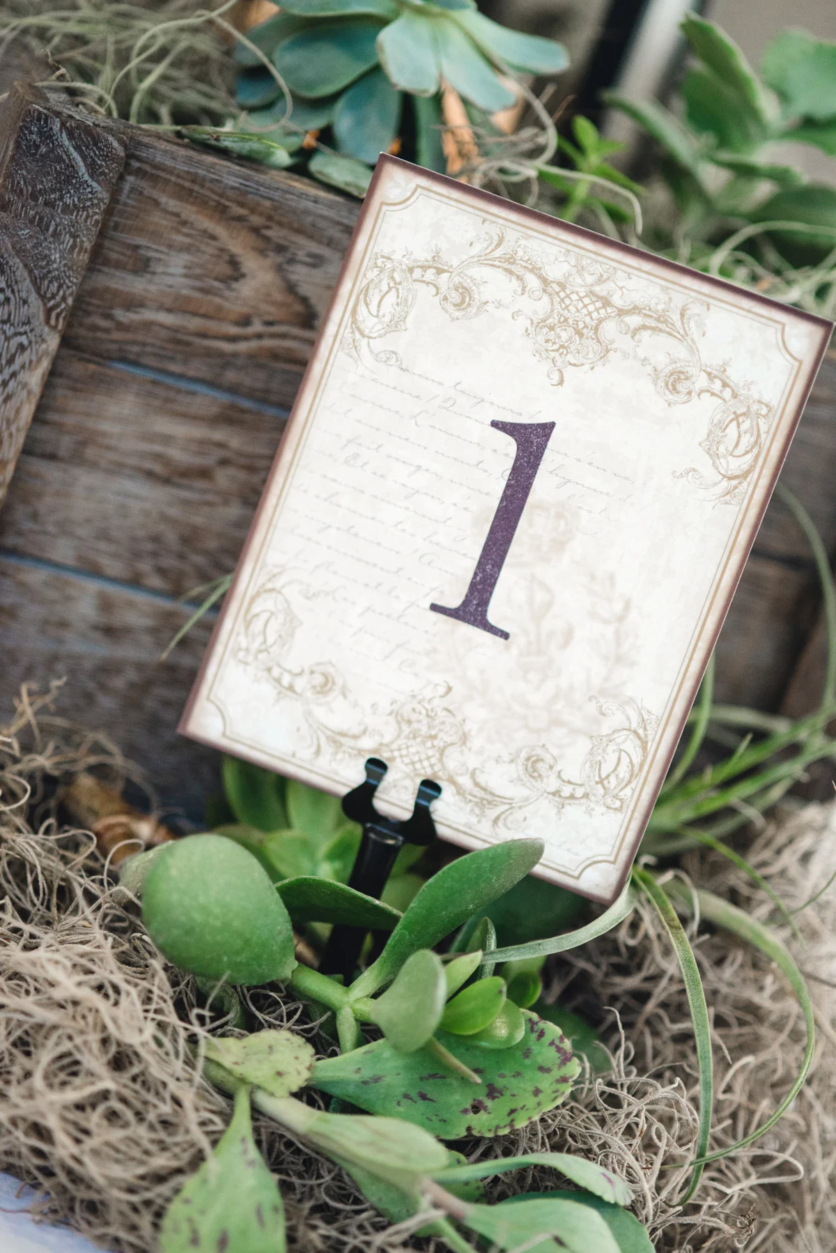 edison-ford-estates-wedding-360.jpg