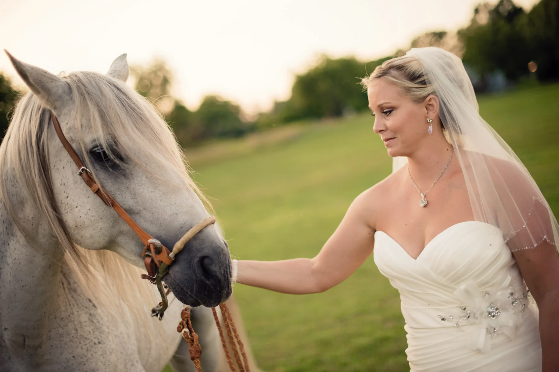Country-Barn-Wedding-393.jpg