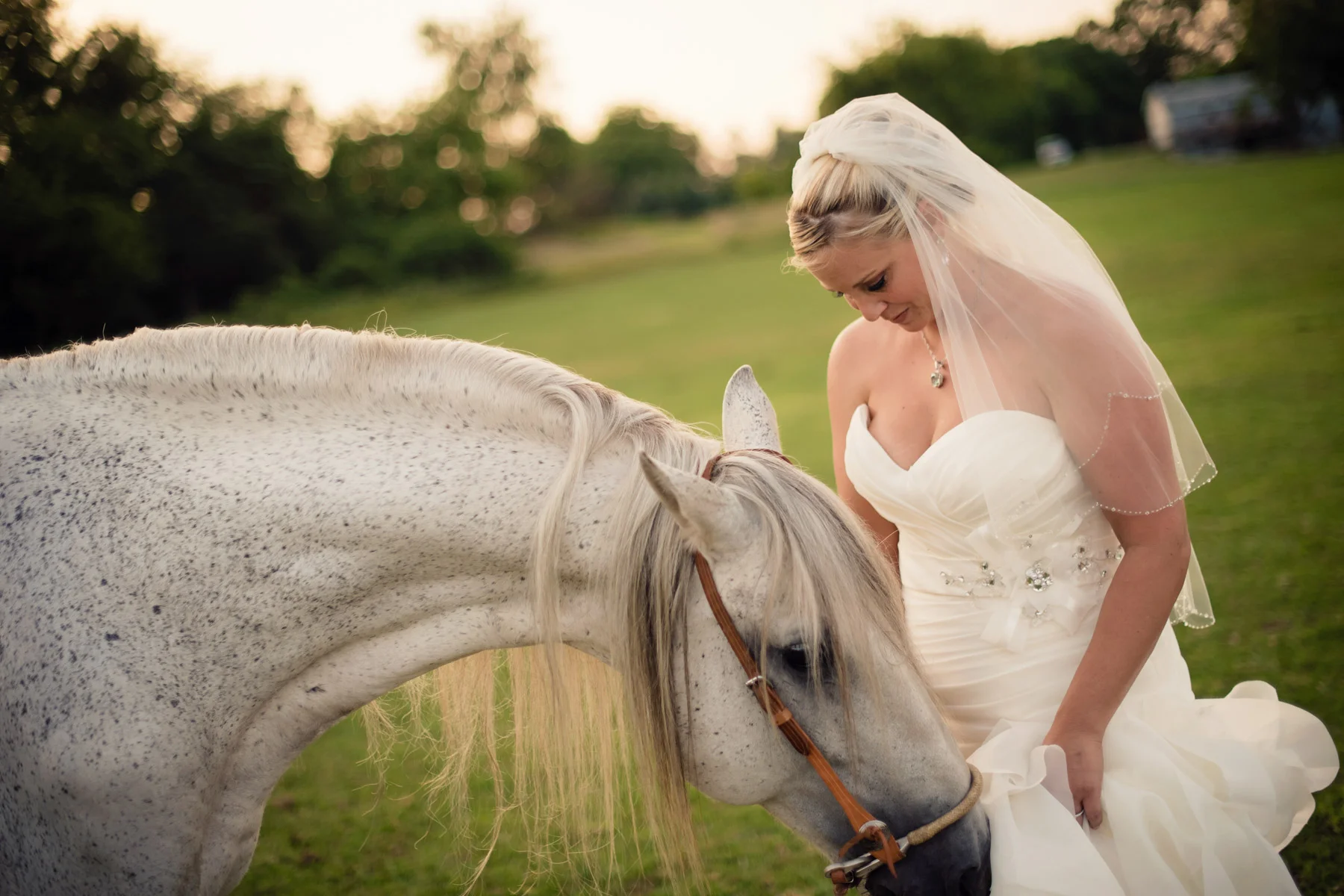 Country-Barn-Wedding-394.jpg
