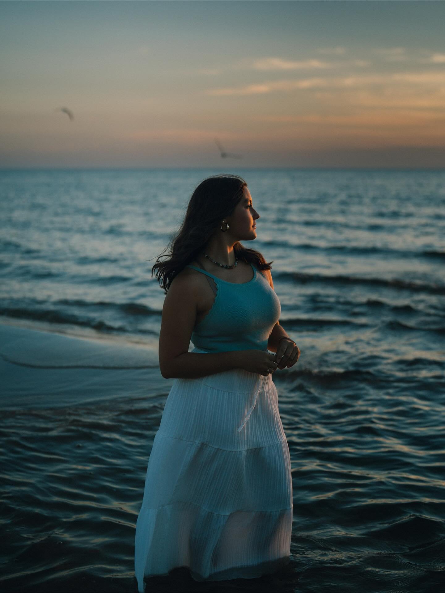 &ldquo;The sun is set; and in his latest beams Yon little clouds of ashen grey and gold, Slowly upon the amber air unrolled.&rdquo; - Henry Wadworth Longfellow

Vanessa - EPIC Homeschool Academy-2026