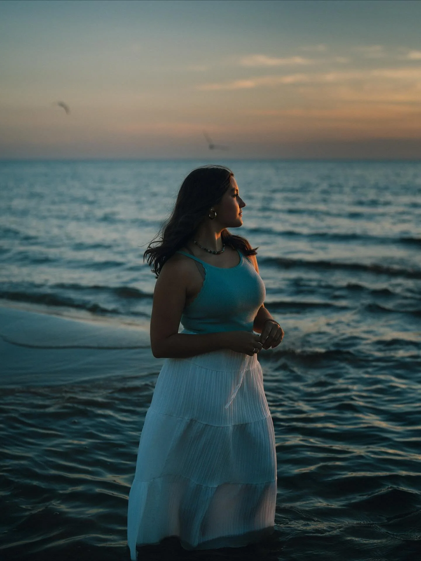 &ldquo;The sun is set; and in his latest beams Yon little clouds of ashen grey and gold, Slowly upon the amber air unrolled.&rdquo; - Henry Wadworth Longfellow

Vanessa - EPIC Homeschool Academy-2026