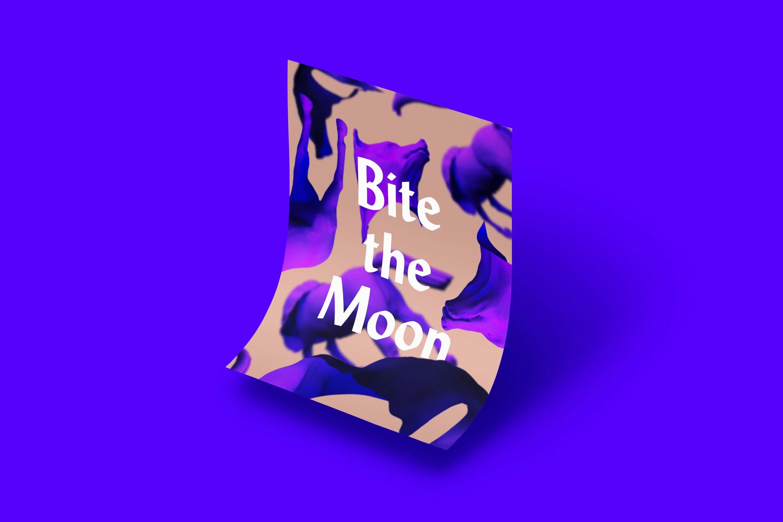 We created a half-wolf, half-horse 3D character, then incorporated the new mascot prominently into the brand identity.