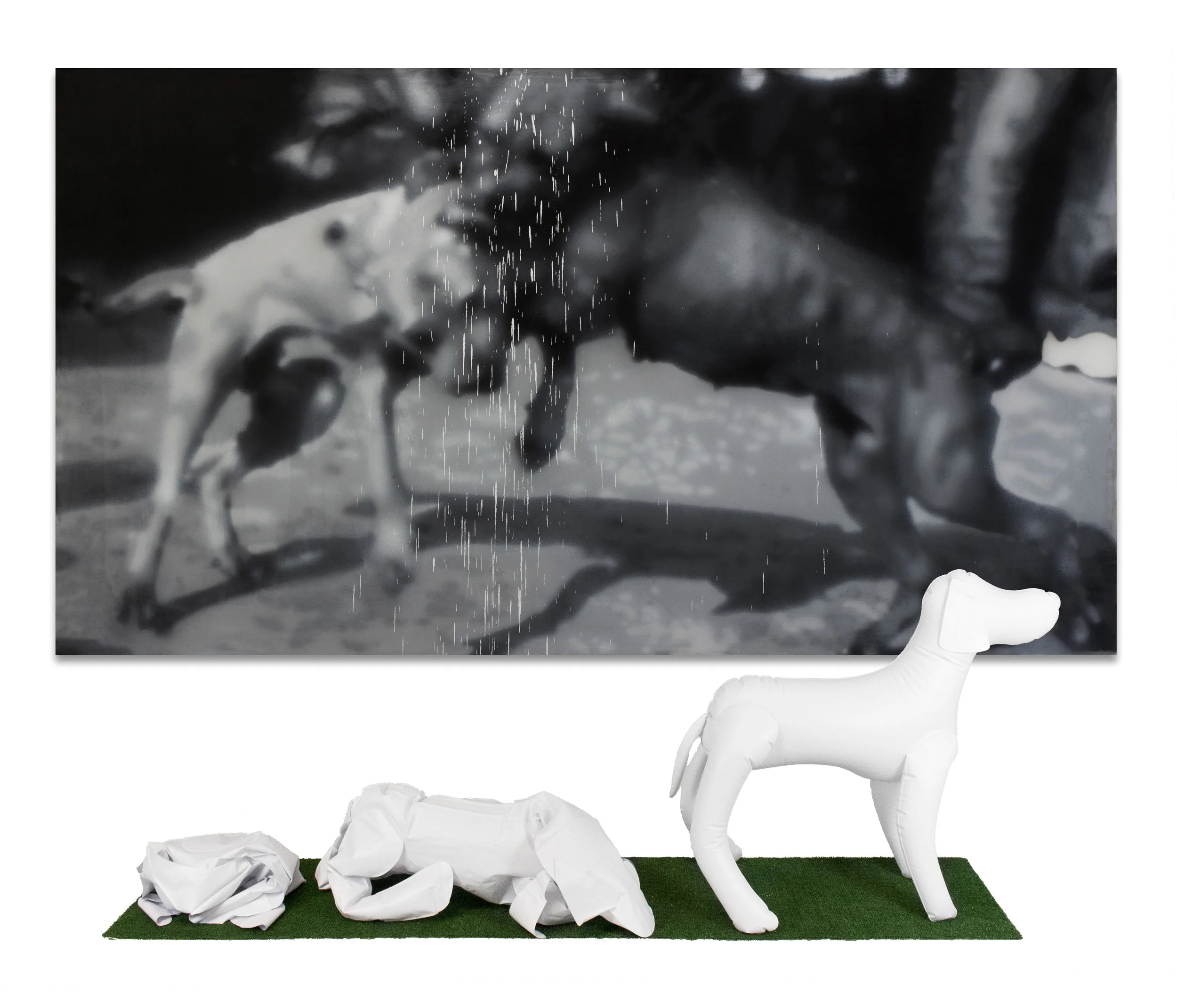 Installation View.jpg