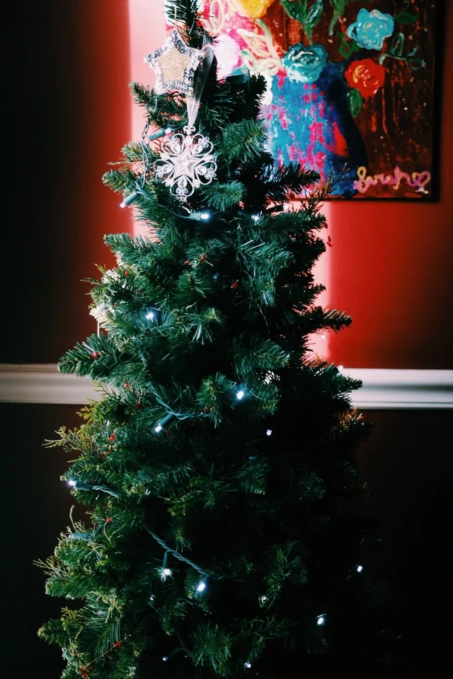 ma soeur brilliante et radiante.