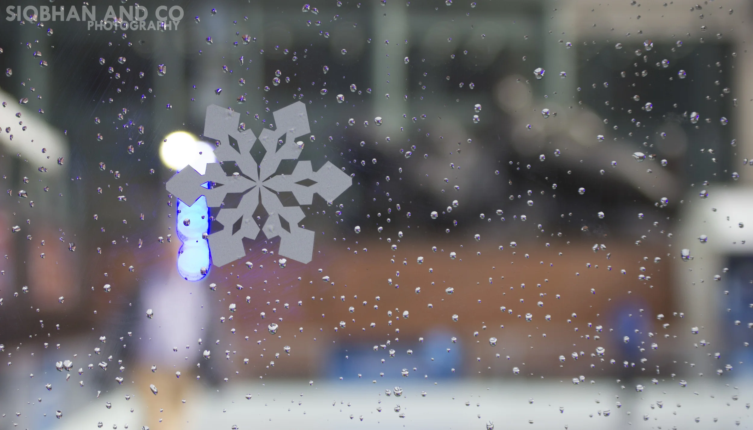 Siobhan and Co Photography 14 L.jpg