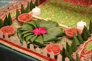 toslima indian photography 6.webp