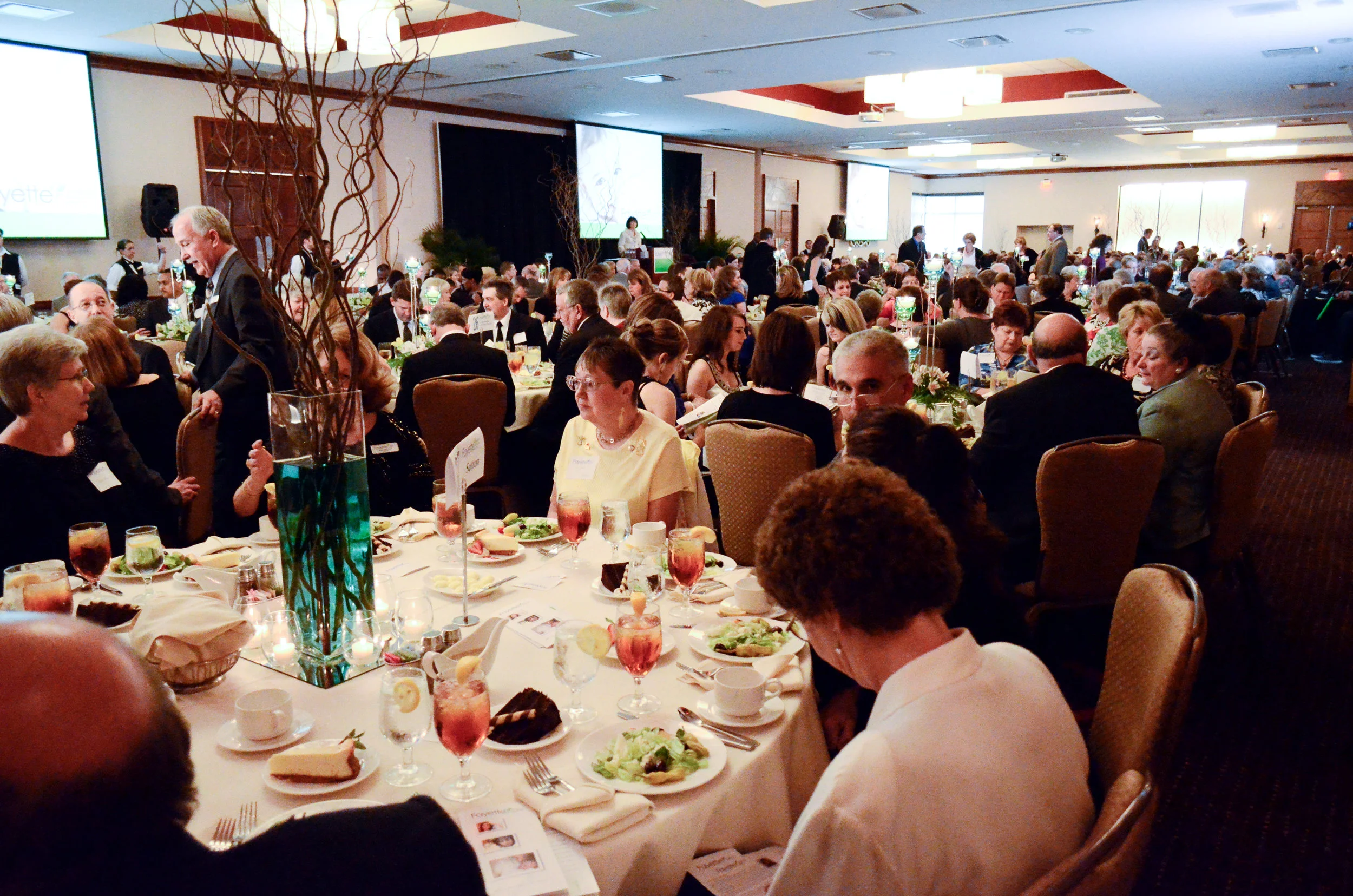 Fayette Pregnancy Resource Center Banquet