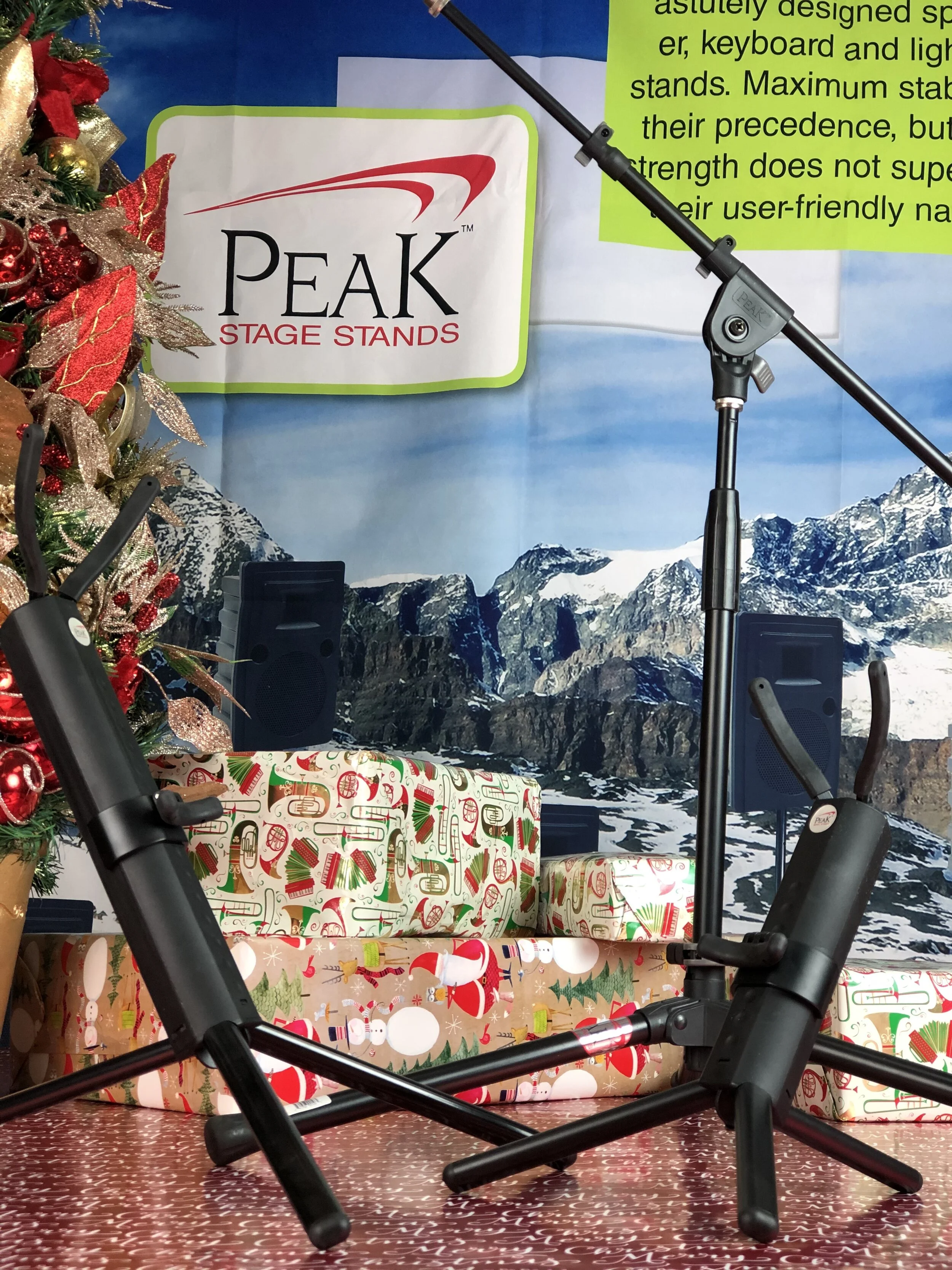 Ps-10 + mic Stand.jpg