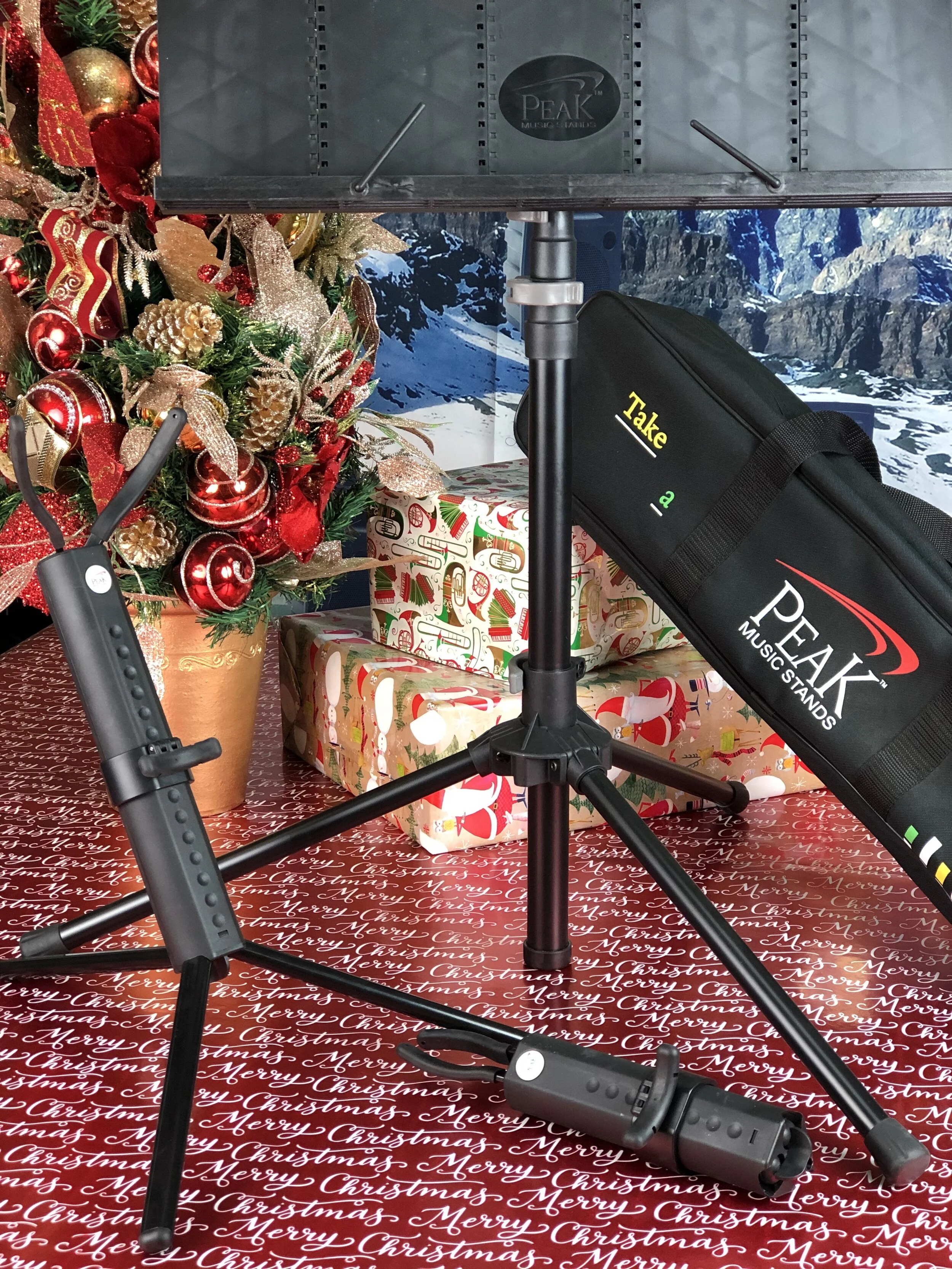 PS-10 + music stand.jpg