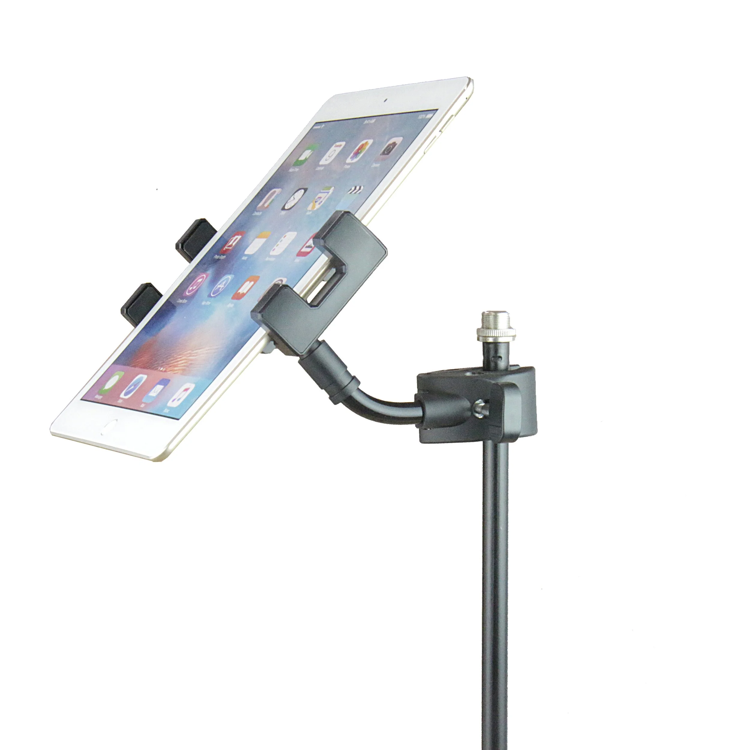 With ipad.jpg