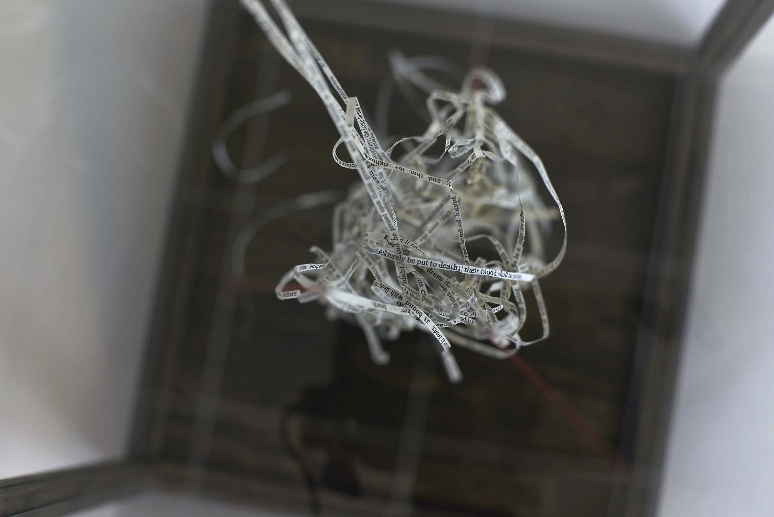 Convoluted #1 Detail 2016 Wood, glass, paper, thread, nylon, metal Genesis 19, Leviticus 18:22, Leviticus 20:13, Mark 10:6-9, Romans 1:26-32, Romans 13:8-10, 1 Corinthians 6:9-11,17-20, 1 Corinthians 7:2, 1 Timothy 1:8-11, Hebrews 13:1-5, Jude 1:5-8. Leviticus 18:22 - Thou shalt not lie with mankind, as with womankind: it is abomination.