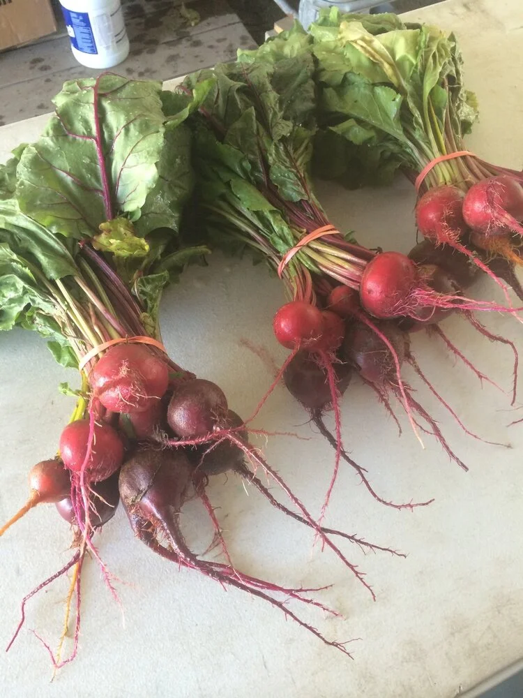 Beets (quart)