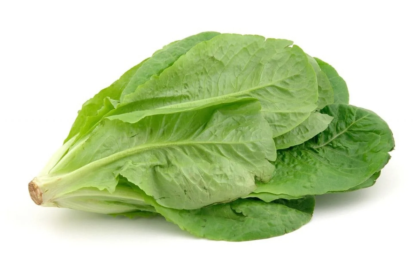 Romaine Lettuce (Head)