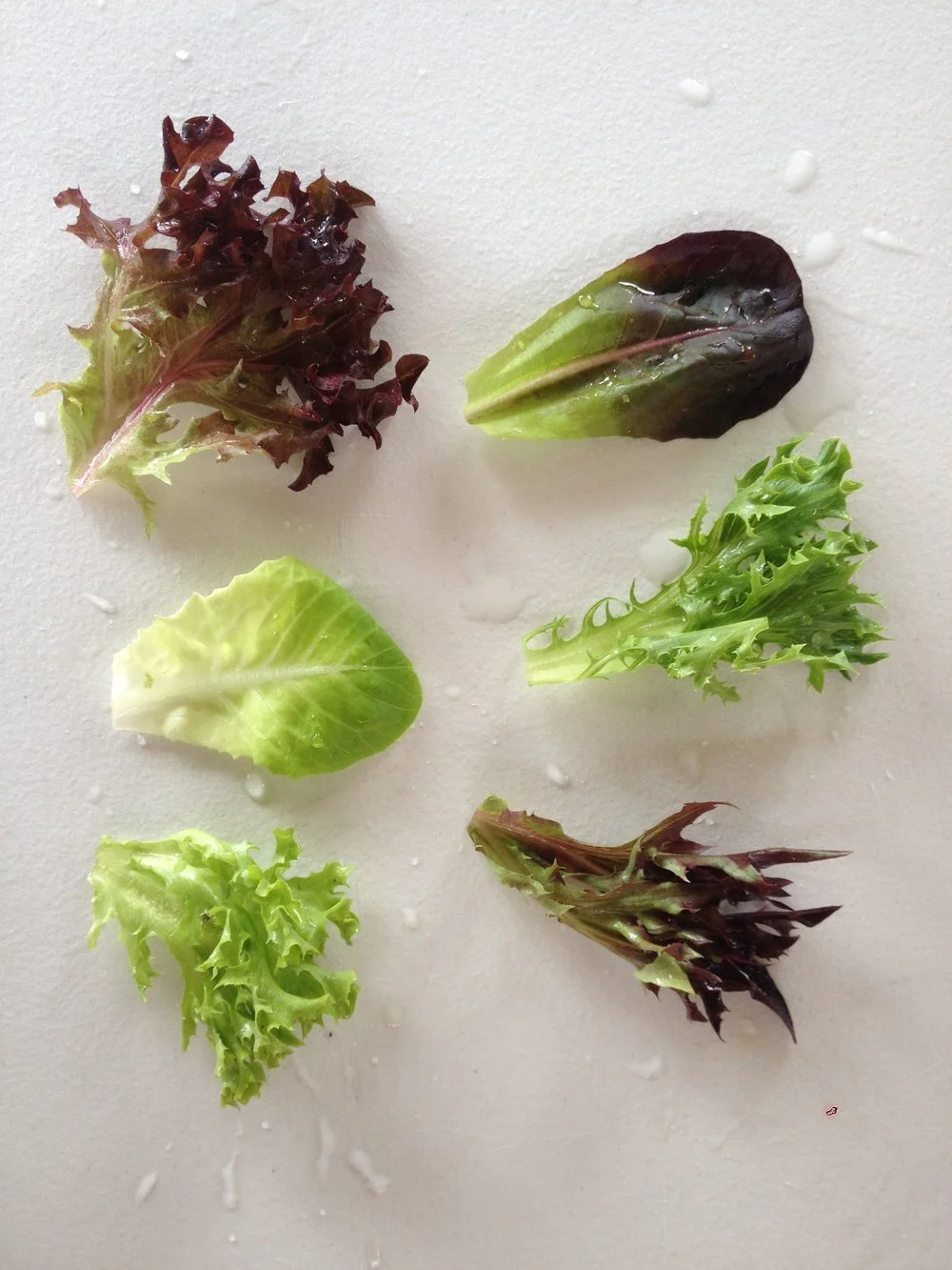 Salad Mix 4 Variety (Bag)