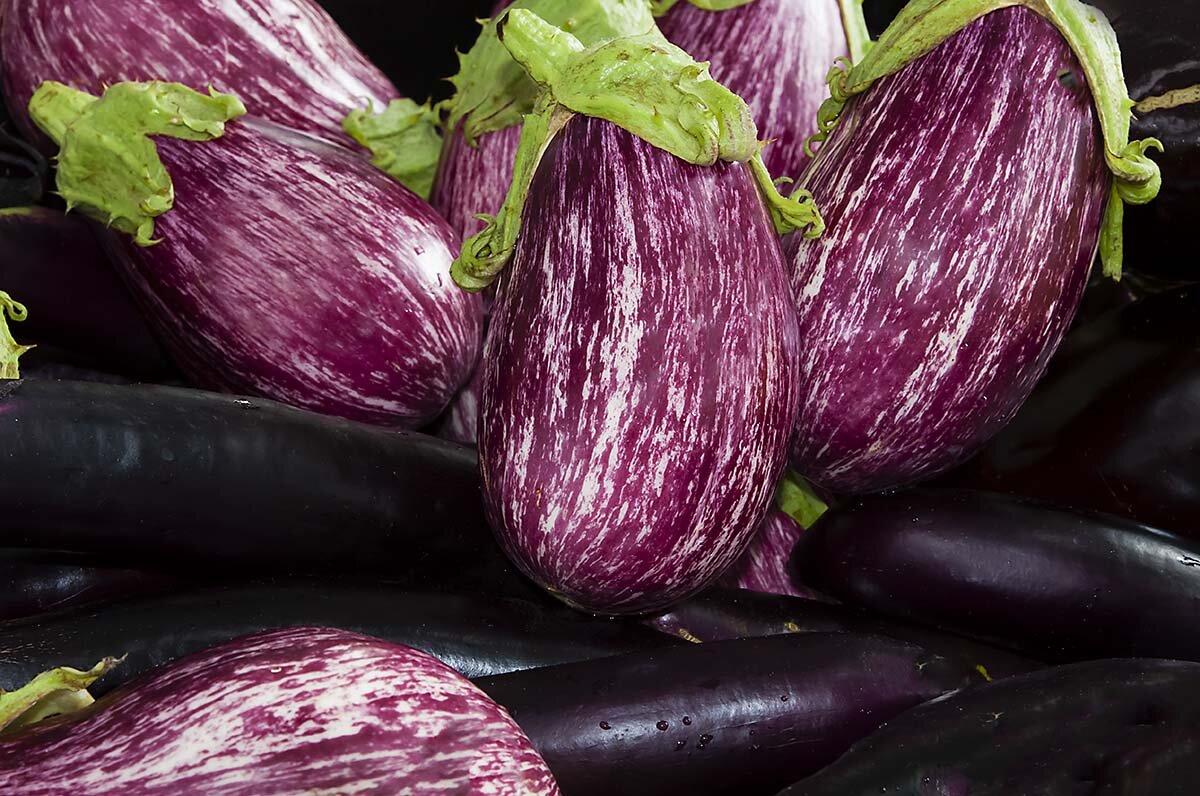 Eggplant (ea)