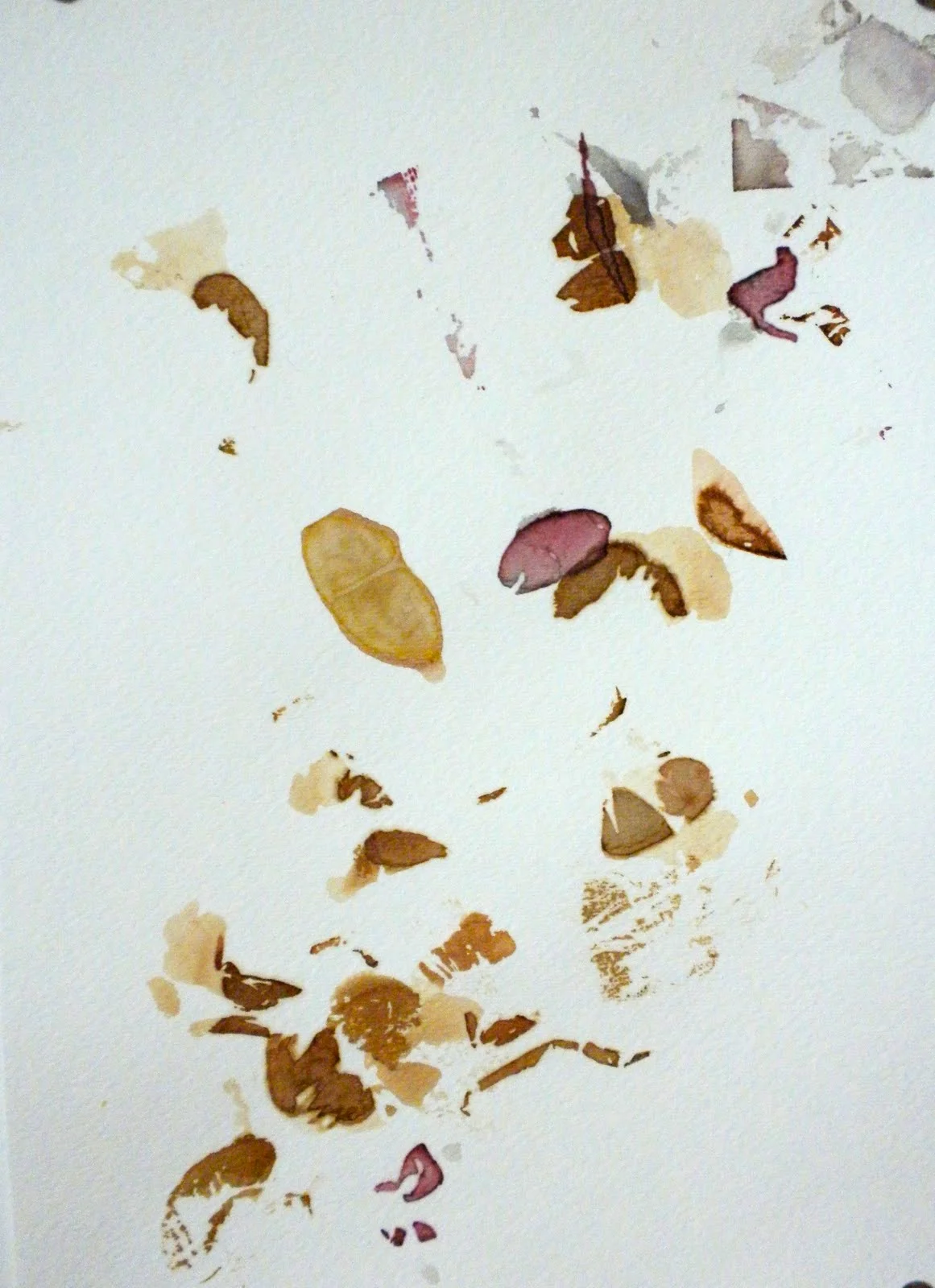 Tea Time/topografías interiores