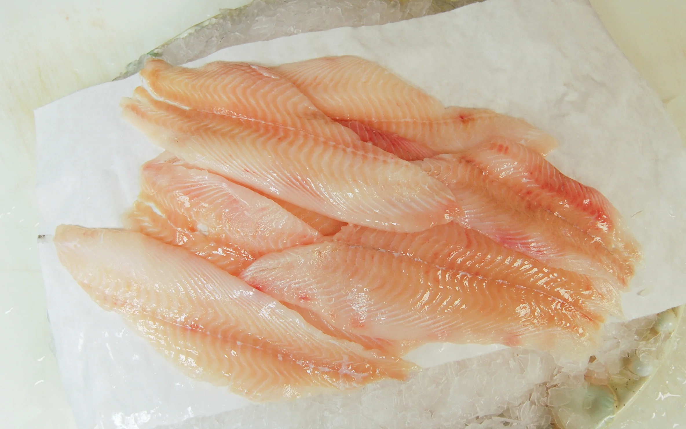 Flounder/Sole