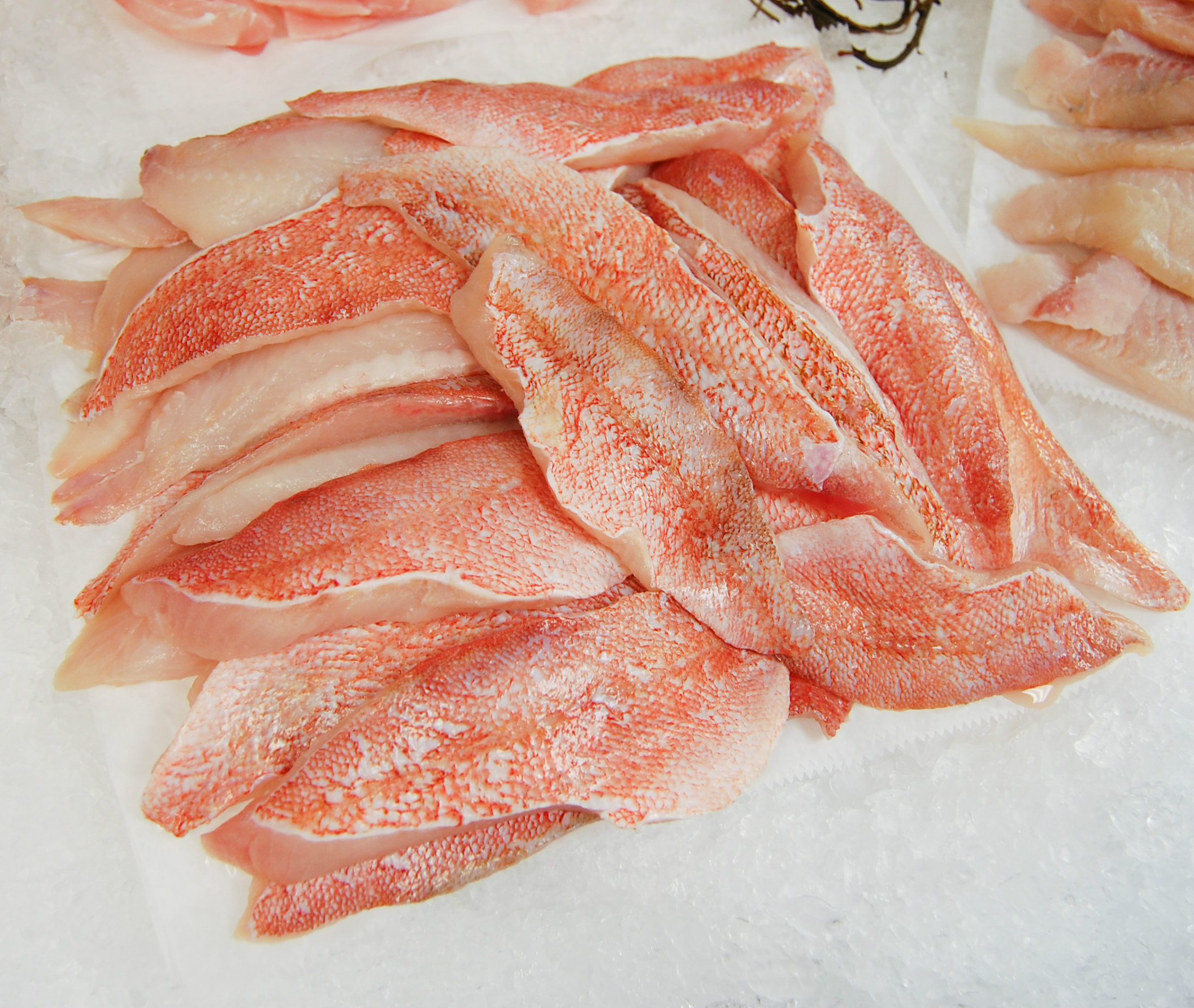 Perch, Ocean