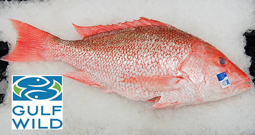 Snapper, Amer. Red