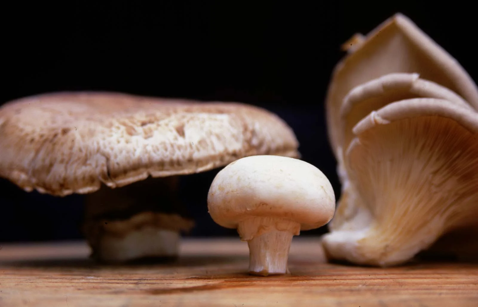 Culinary Frameworks for Health Professionals