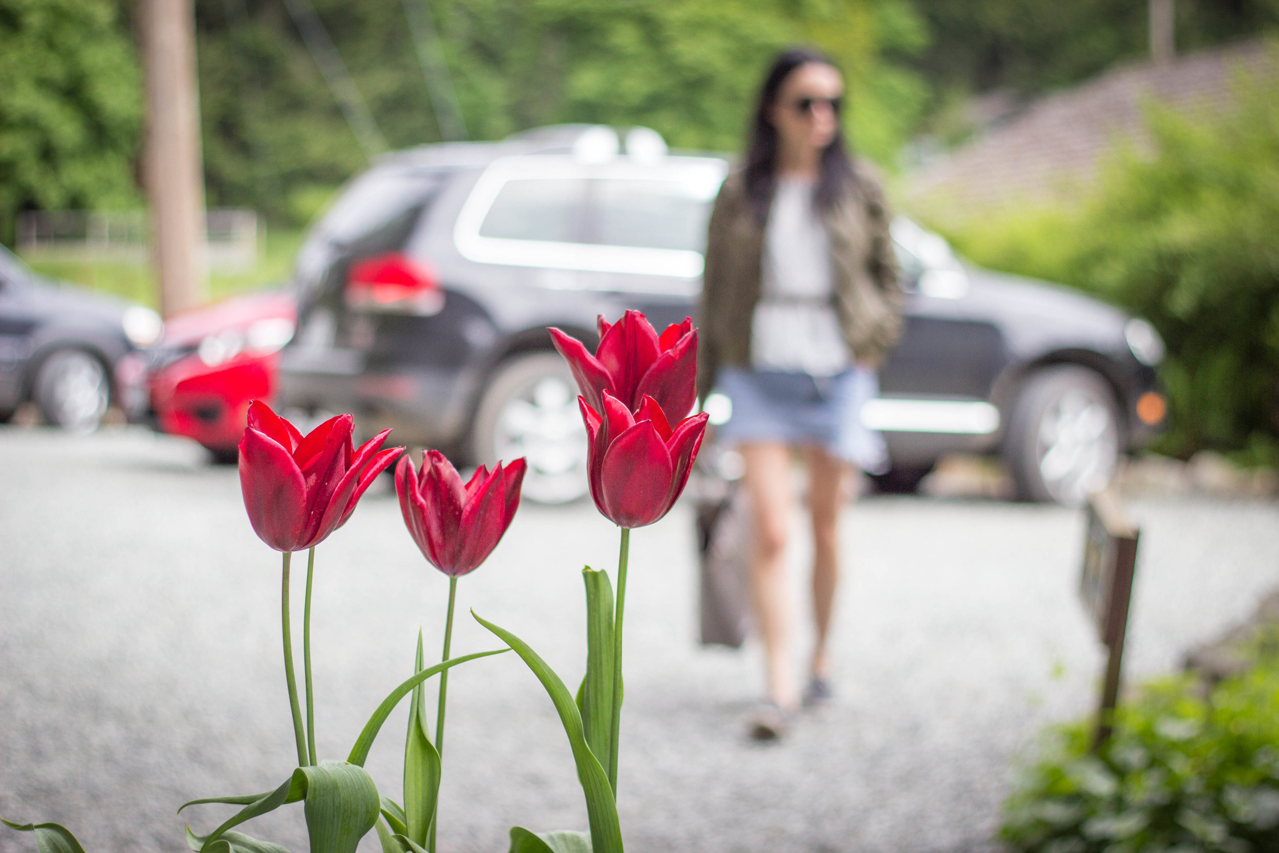 Arriving at the Hastings House - Photo Credit @jonsuk