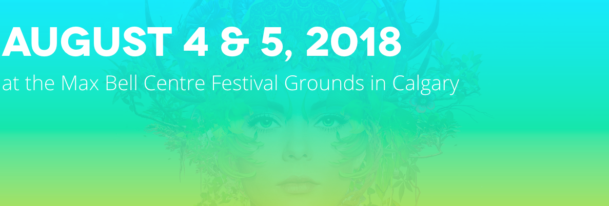 Chasing summer music festival 2018.png