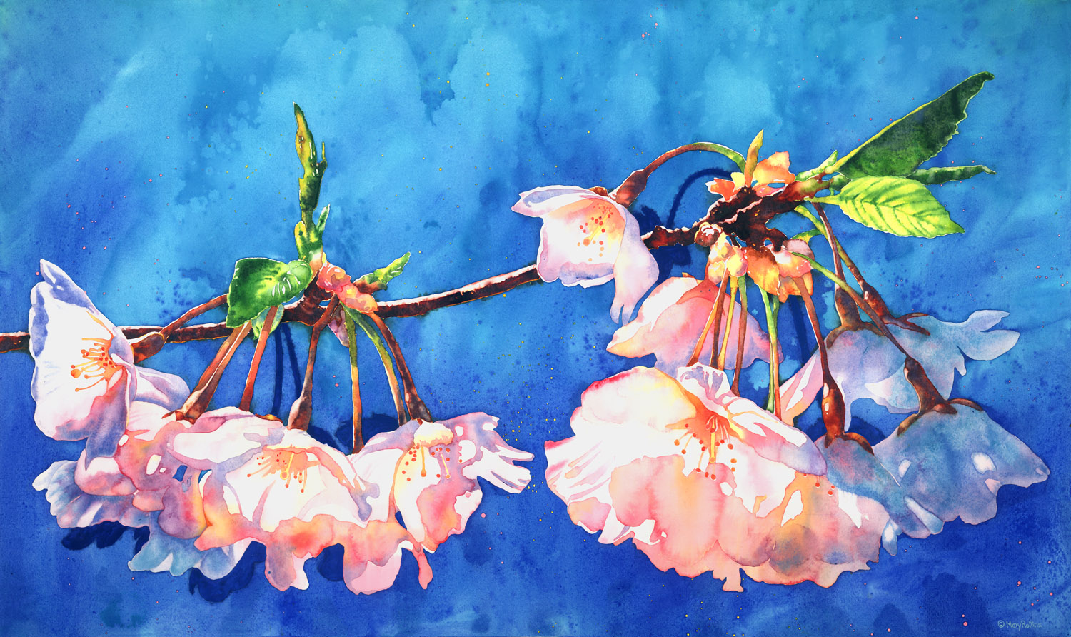 MR_cherrybloom_RGB2_smallest.jpg