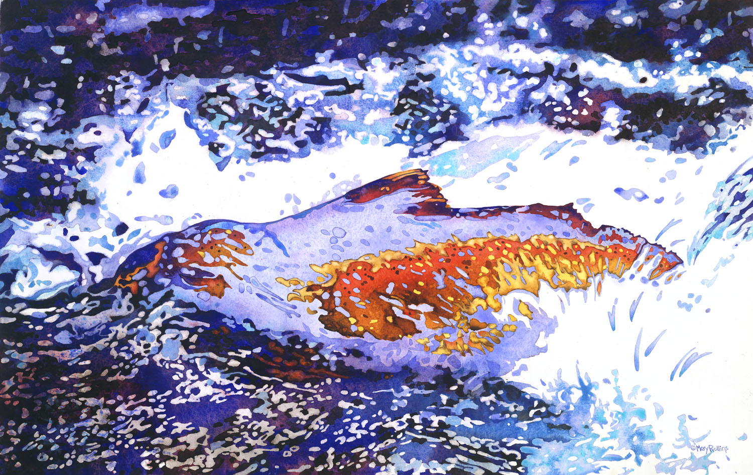 MR_salmonrunagain_RGB4_smallest.jpg