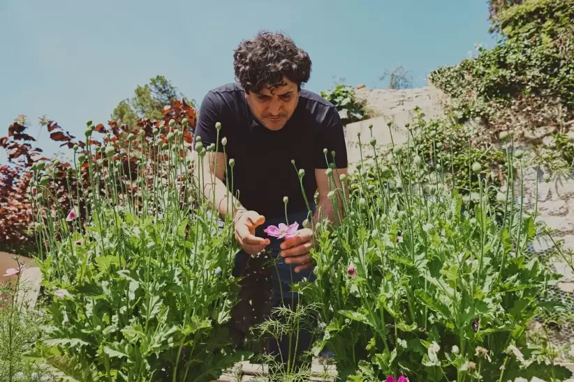 Persona cuidando plantas con flores rosadas en un jardín al aire libre bajo un cielo despejado.