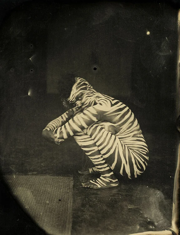 Ryals_Zebra_CritMass.jpg