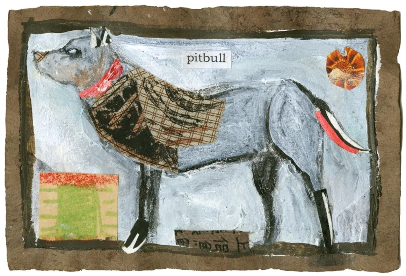 Scan060 Pitbull.jpg