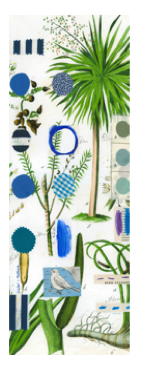 scarves_botanical images.png