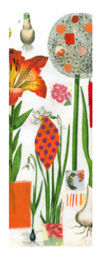 scarves_botanical images.png