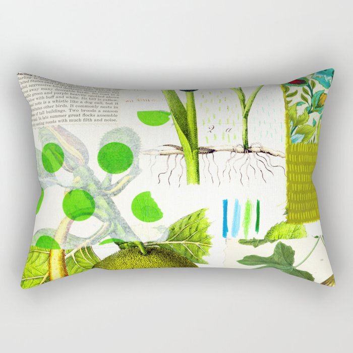 green-botanical-by-pam-smilow-rectangular-pillows.jpg
