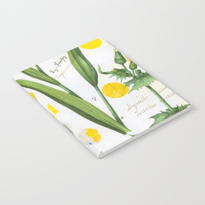 botanical-series-yellow-dandelion-notebooks.jpg