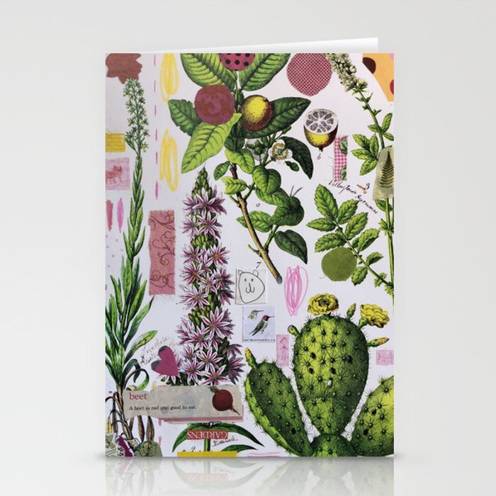 pink-cactus-botanical3150759-cards.jpg