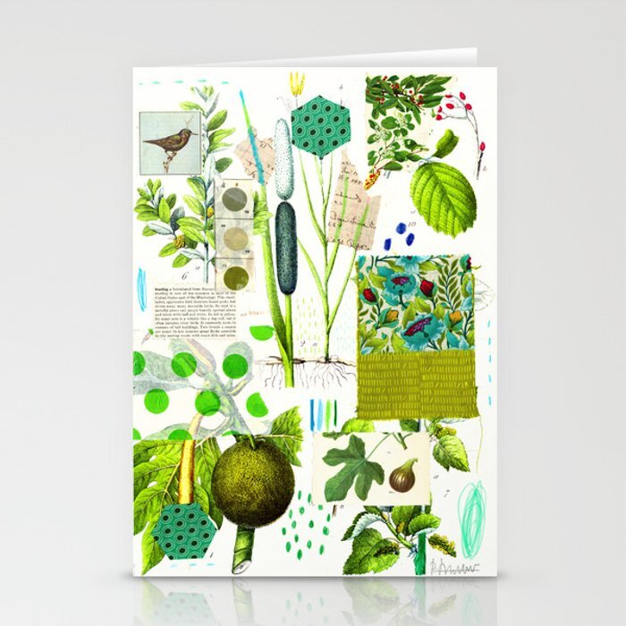 green-botanical-by-pam-smilow-cards.jpg