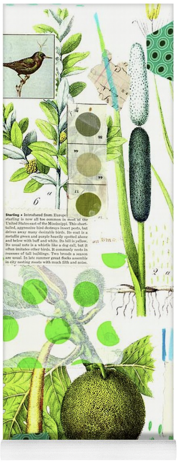 yoga mat botanical green.png