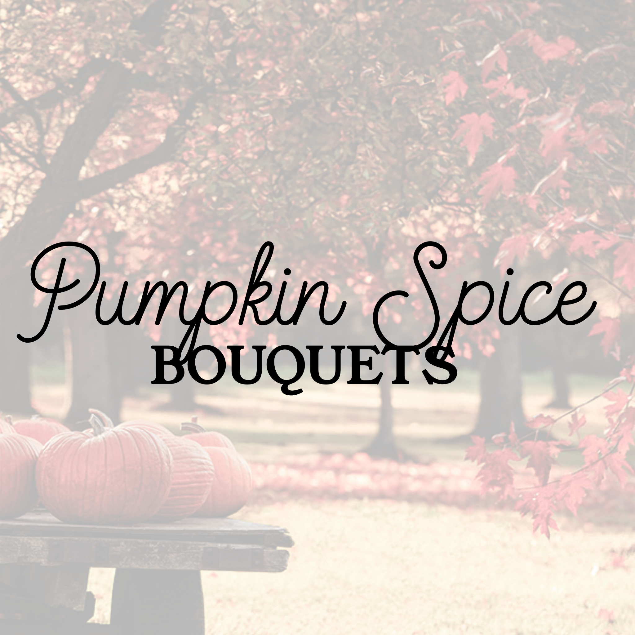 Pumpkin Spice Bundles (Friday, Oct 2nd ONLY)