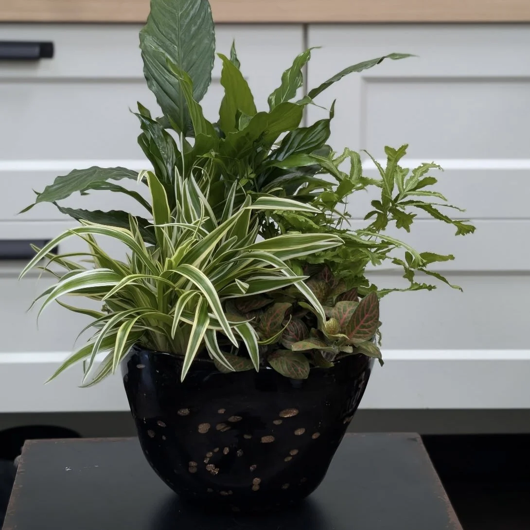 Leopard Glass Planter
