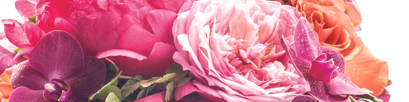 wedding header.jpg