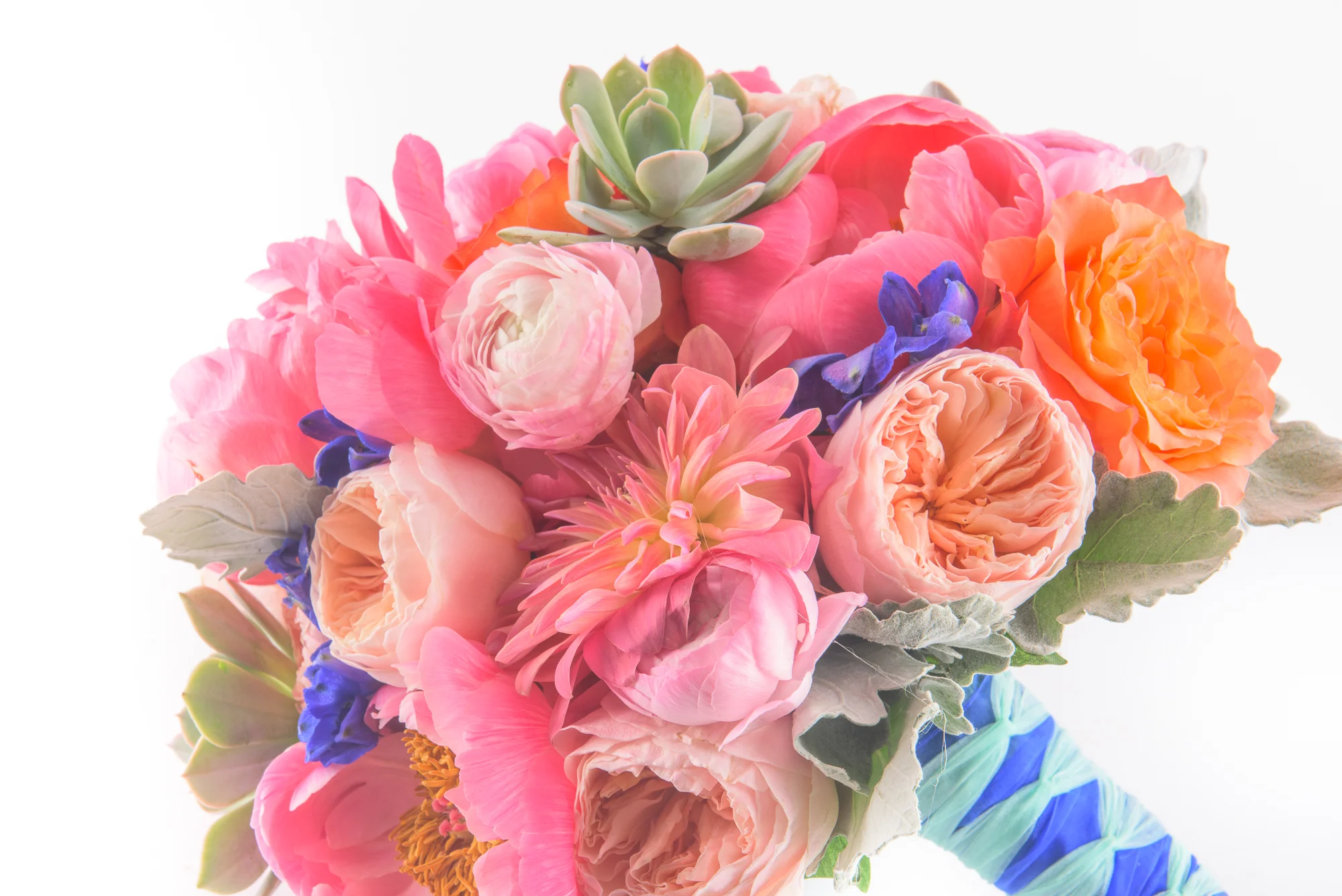 Colourful Peonies, Roses & Succulents