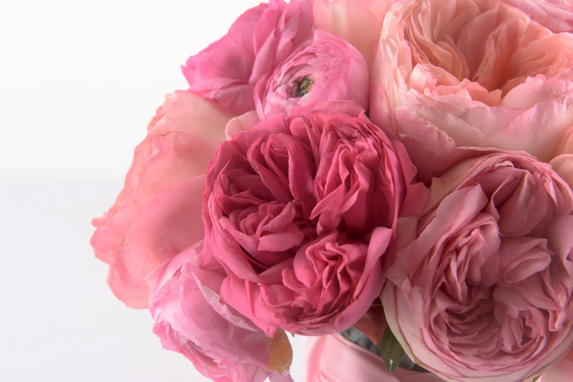 Assorted Pink Florals