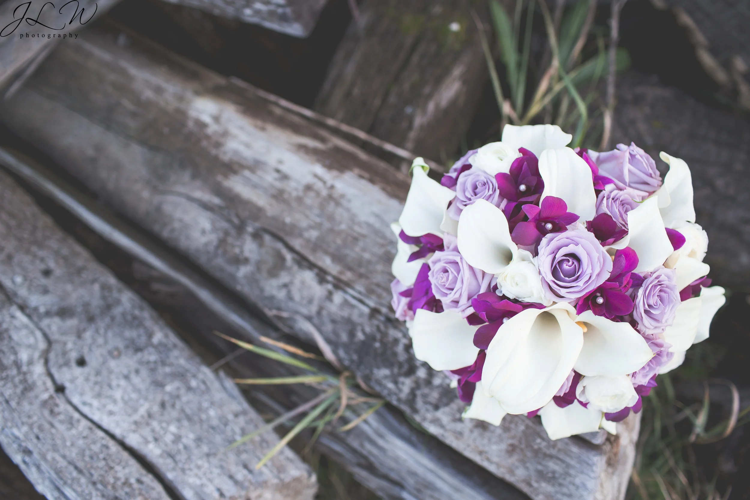 Passionate Purple