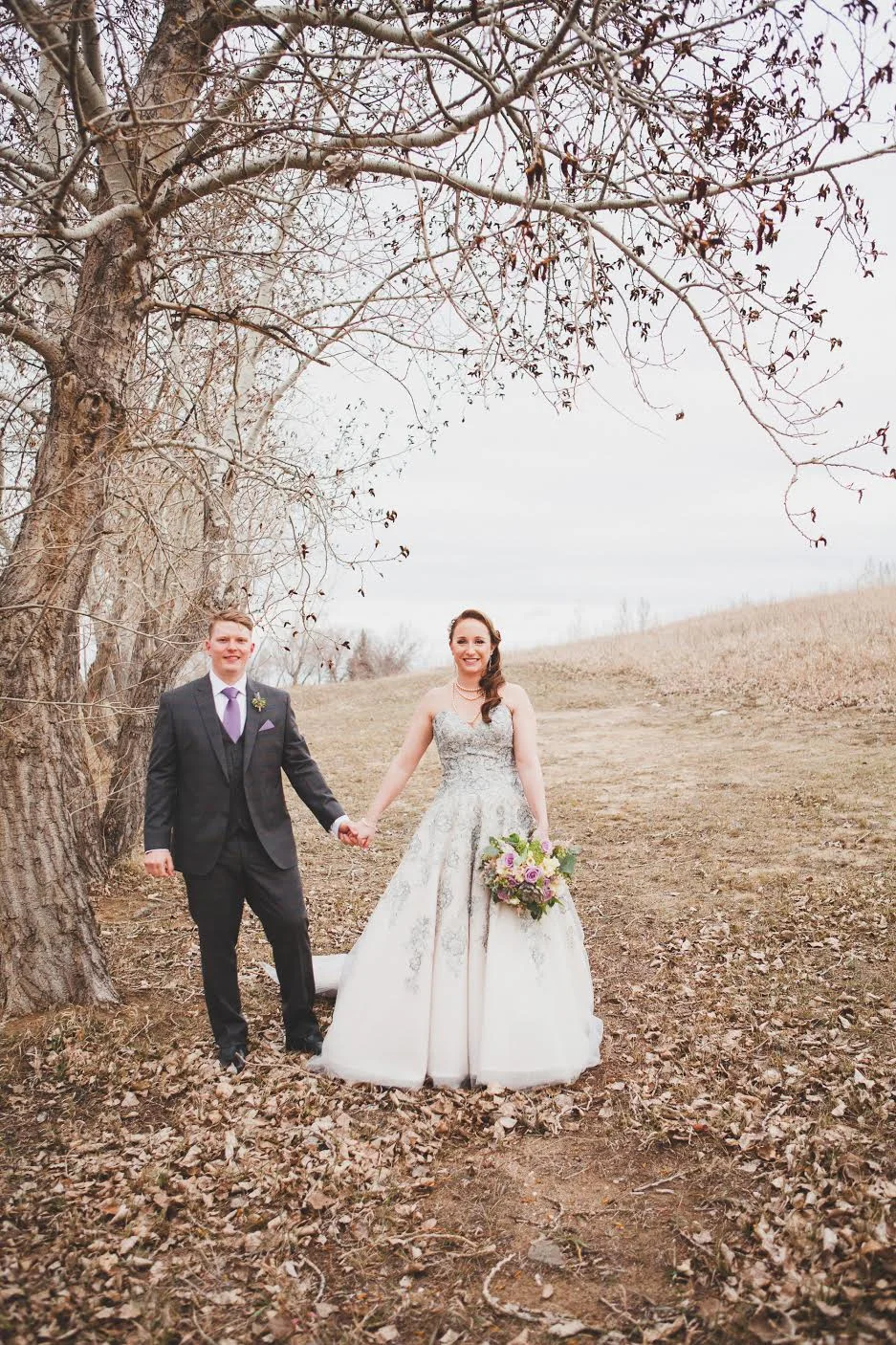 Lavender and Succulents 