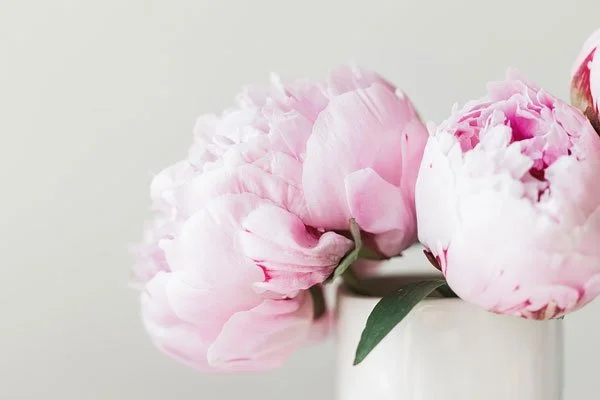 peonies.jpg